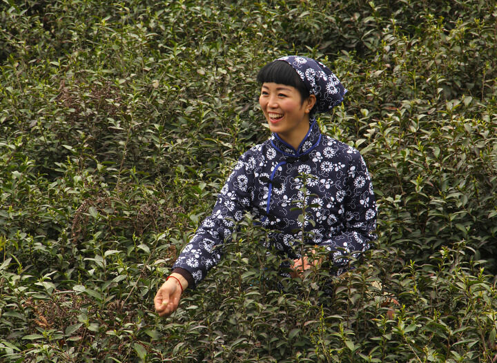 资讯4